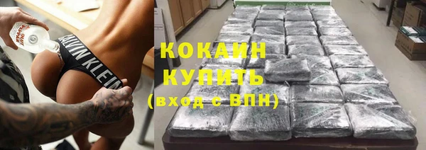 не бодяженный Заводоуковск