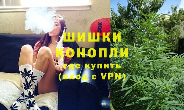 молекула духа Гусев