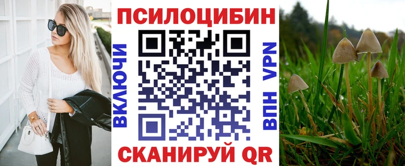 Галлюциногенные грибы GOLDEN TEACHER  Новомосковск 